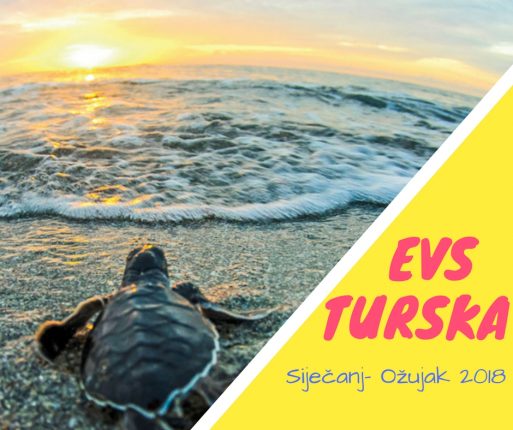 EVS Turska